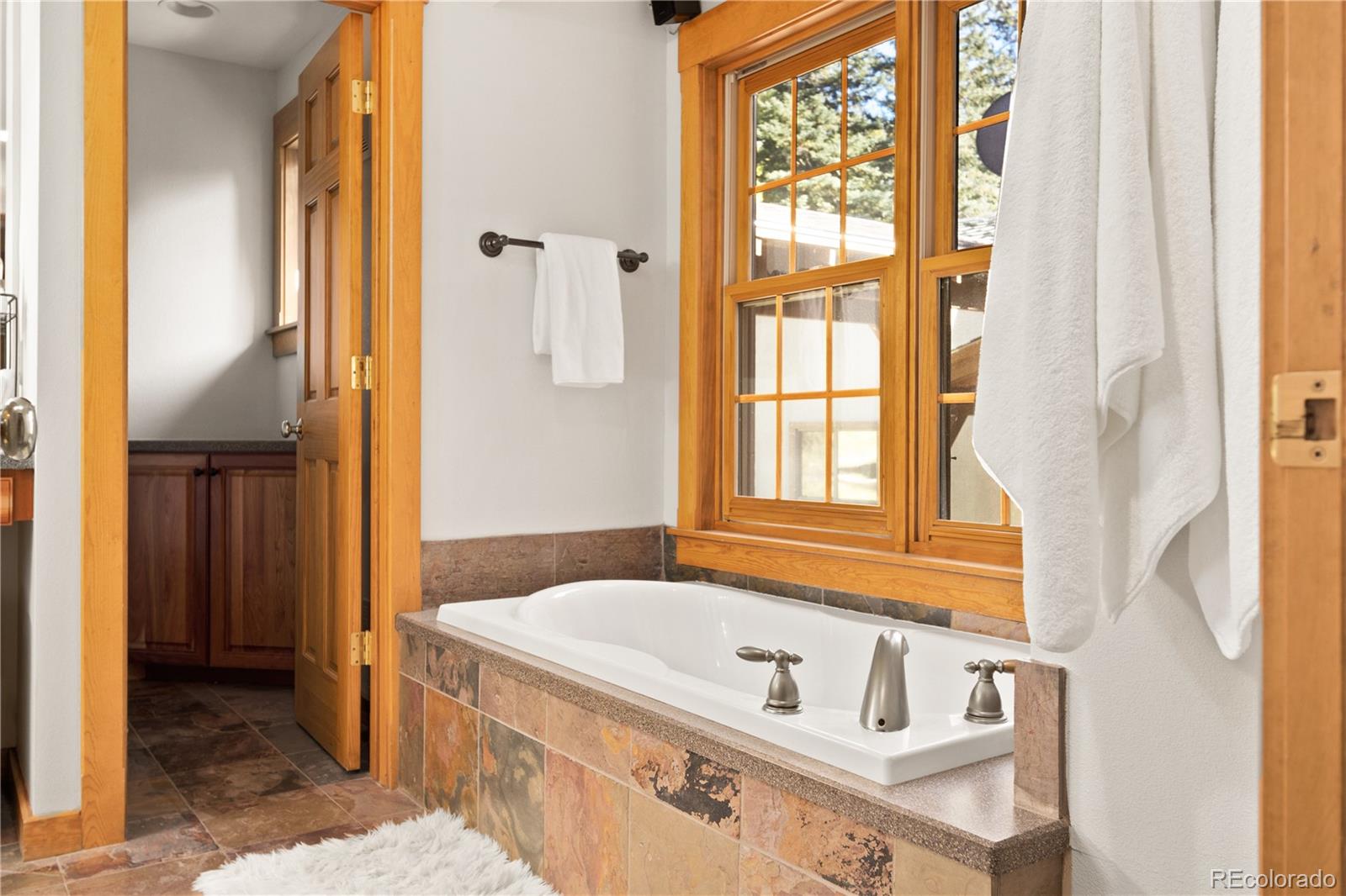 MLS Image #14 for 32217  buffalo park road,evergreen, Colorado