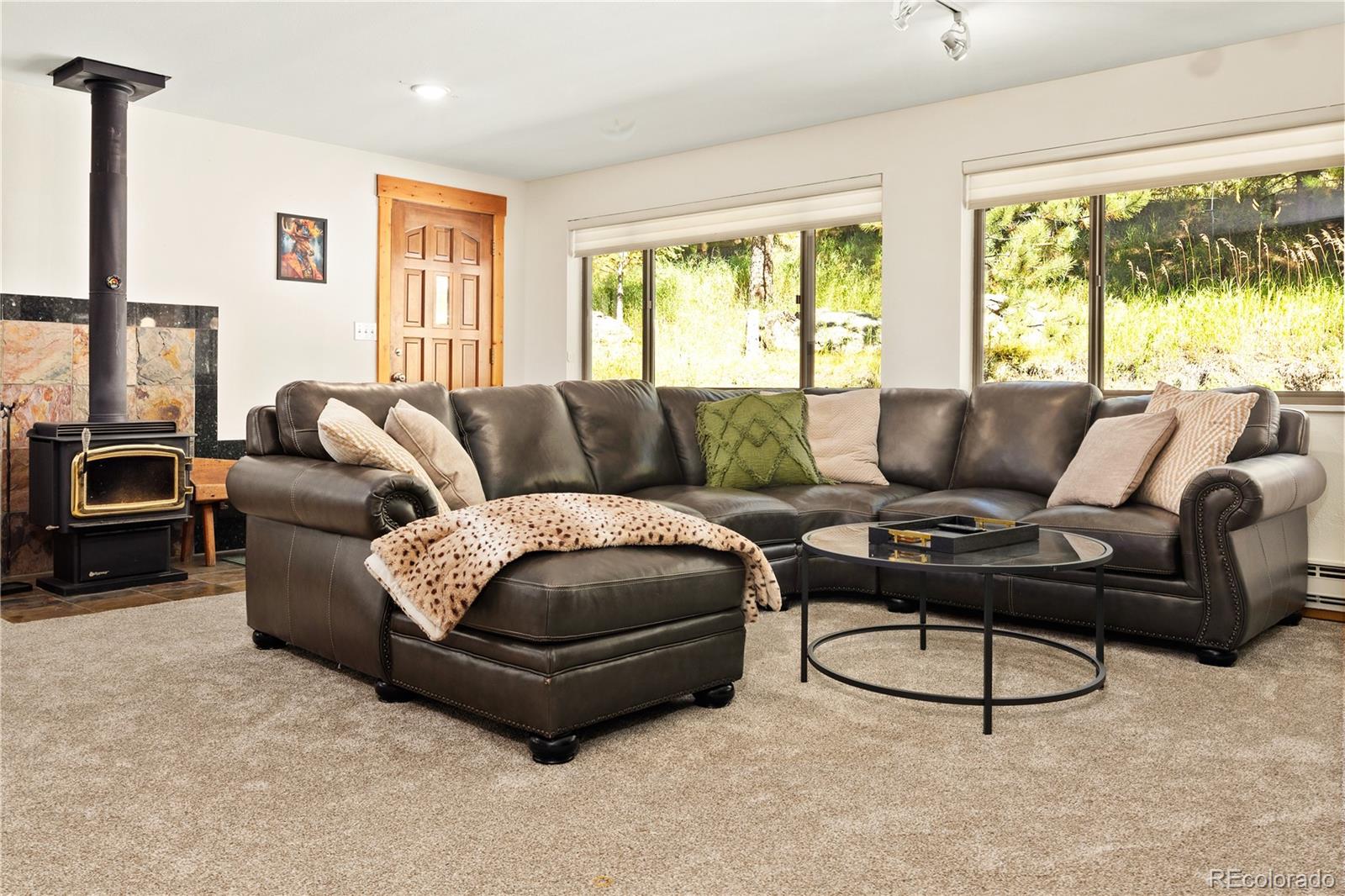 MLS Image #23 for 32217  buffalo park road,evergreen, Colorado