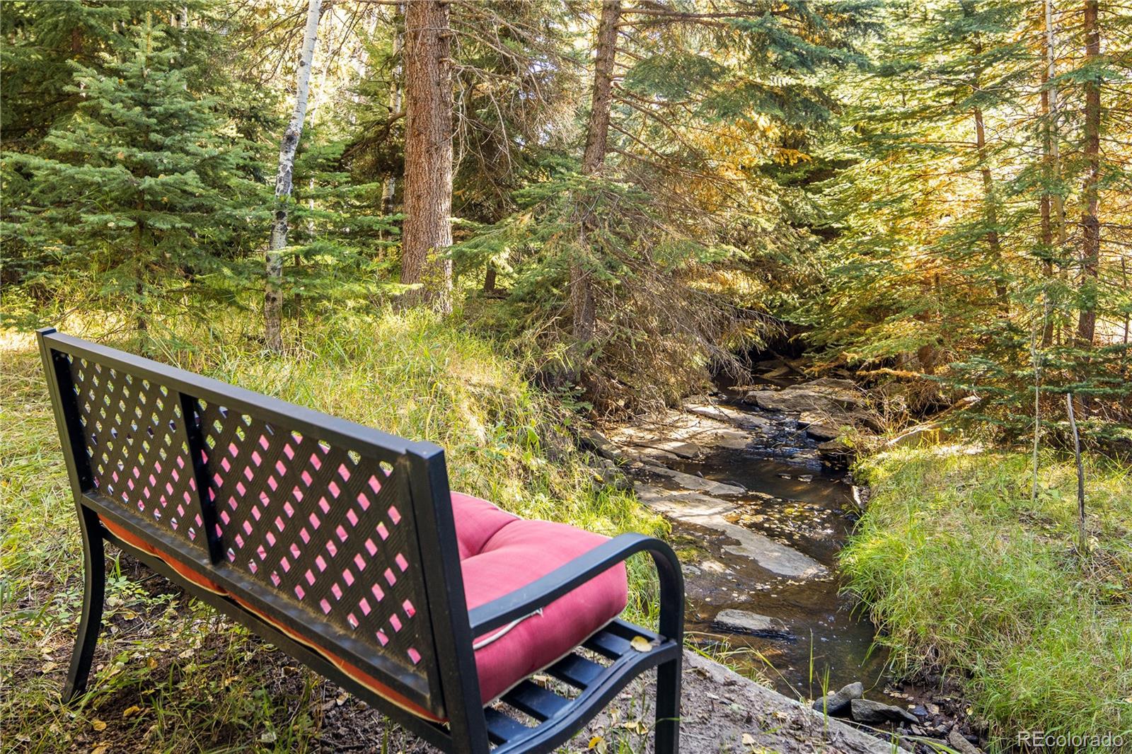 MLS Image #3 for 32217  buffalo park road,evergreen, Colorado