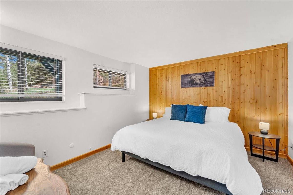 MLS Image #36 for 32217  buffalo park road,evergreen, Colorado