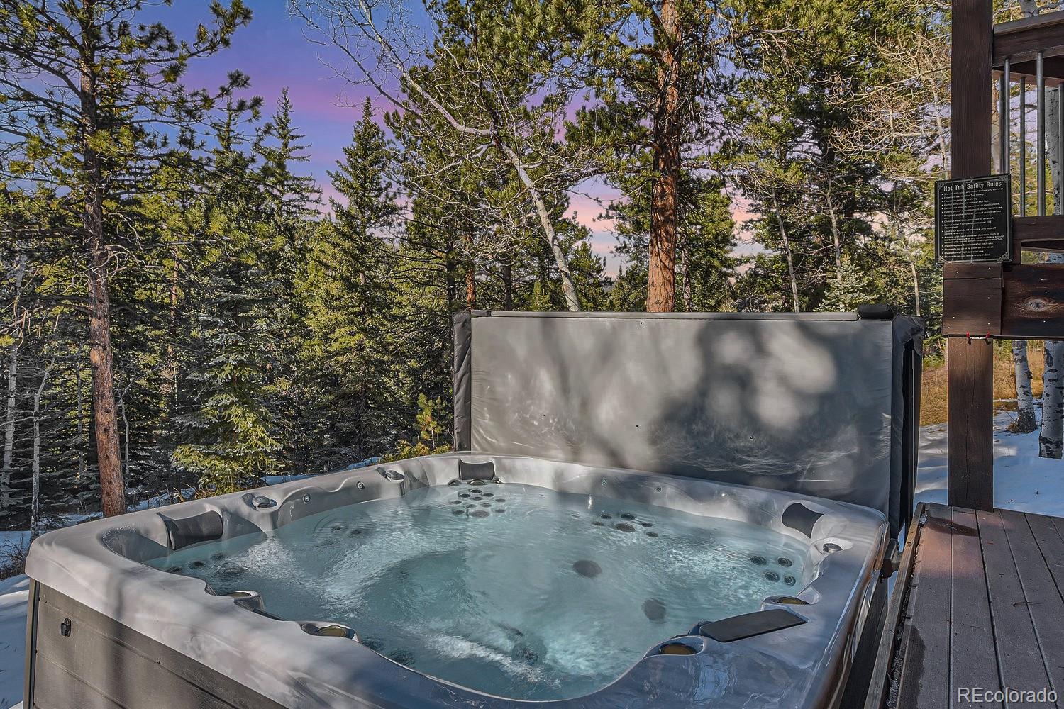 MLS Image #4 for 32217  buffalo park road,evergreen, Colorado