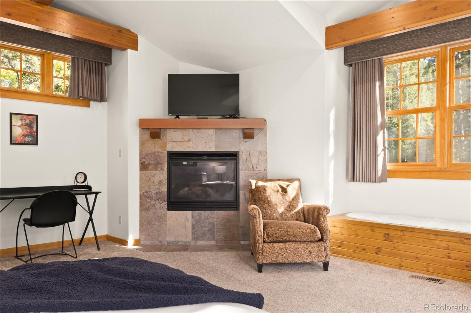 MLS Image #9 for 32217  buffalo park road,evergreen, Colorado