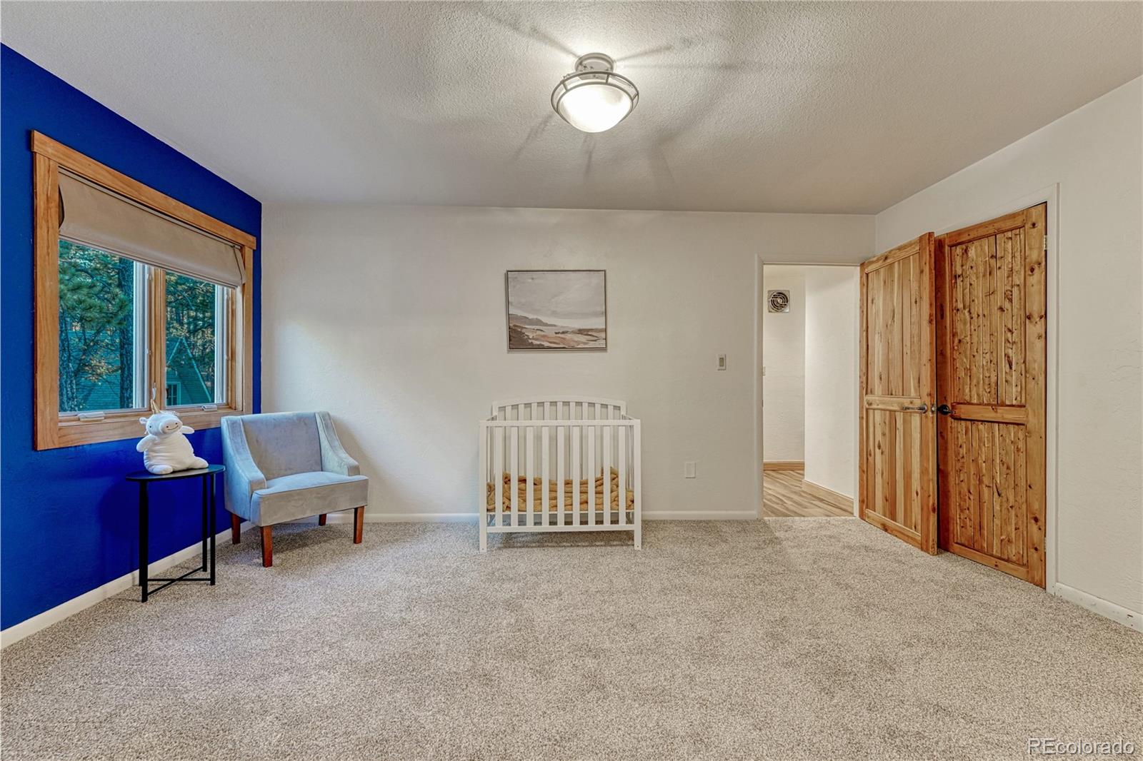 MLS Image #18 for 14695  roller  coaster road,colorado springs, Colorado