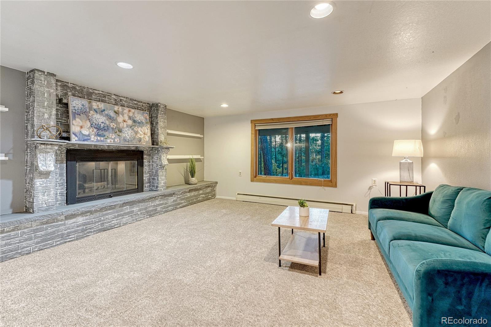 MLS Image #22 for 14695  roller  coaster road,colorado springs, Colorado