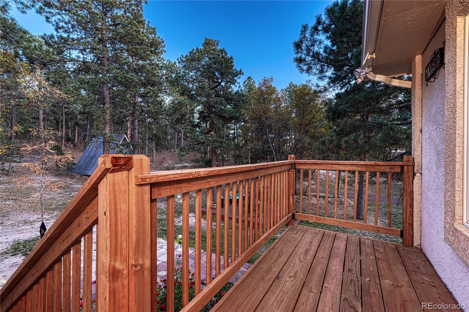 MLS Image #29 for 14695  roller  coaster road,colorado springs, Colorado