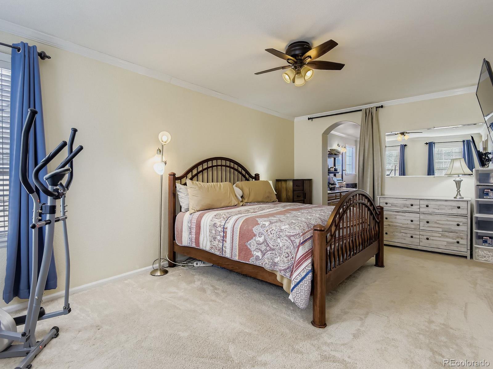 MLS Image #13 for 10036  brisbane lane,highlands ranch, Colorado