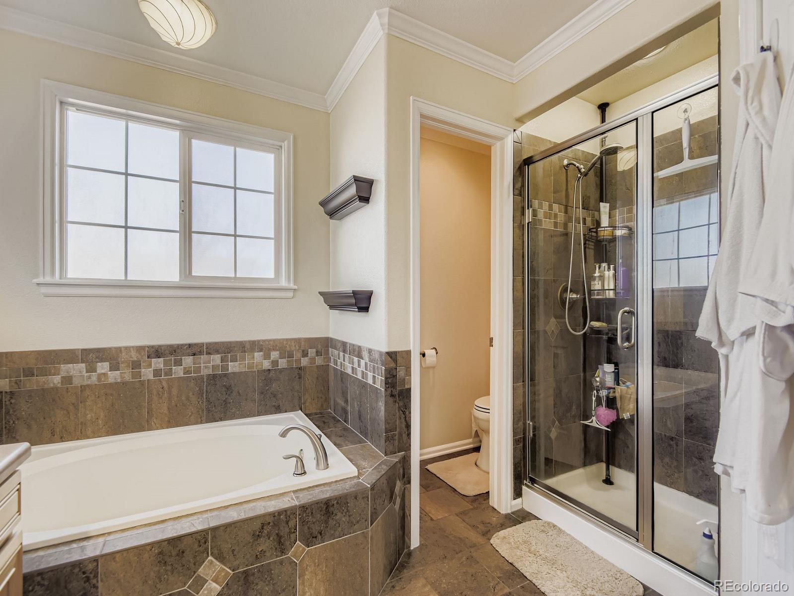 MLS Image #17 for 10036  brisbane lane,highlands ranch, Colorado