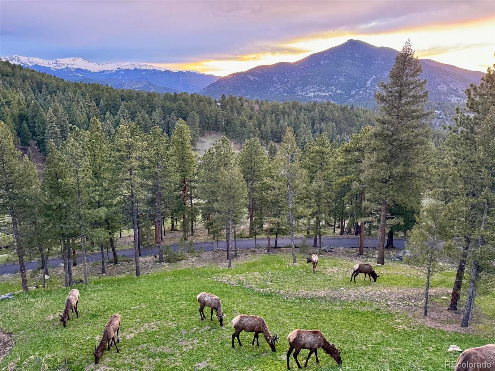 MLS Image #43 for 334  red lily place,evergreen, Colorado