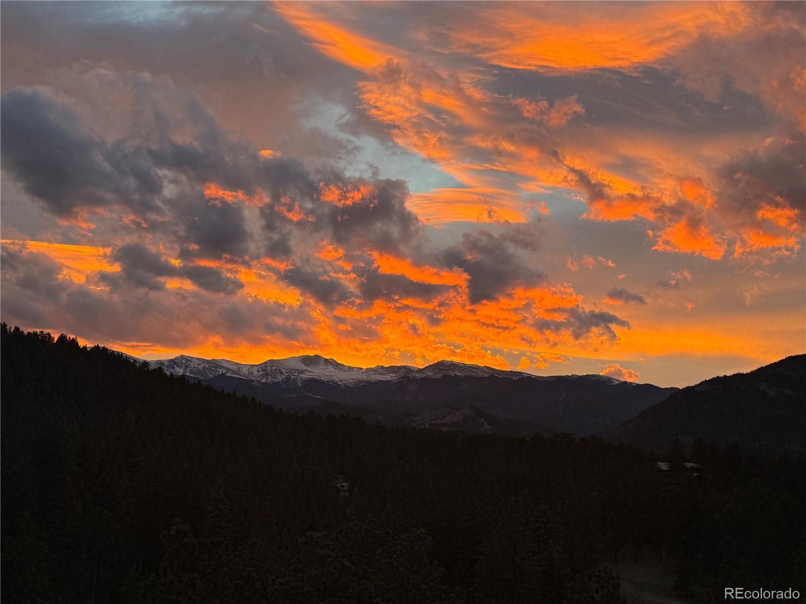 MLS Image #47 for 334  red lily place,evergreen, Colorado
