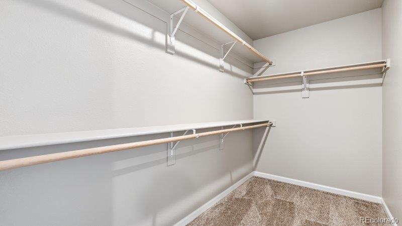 MLS Image #14 for 16815  mckay drive,mead, Colorado