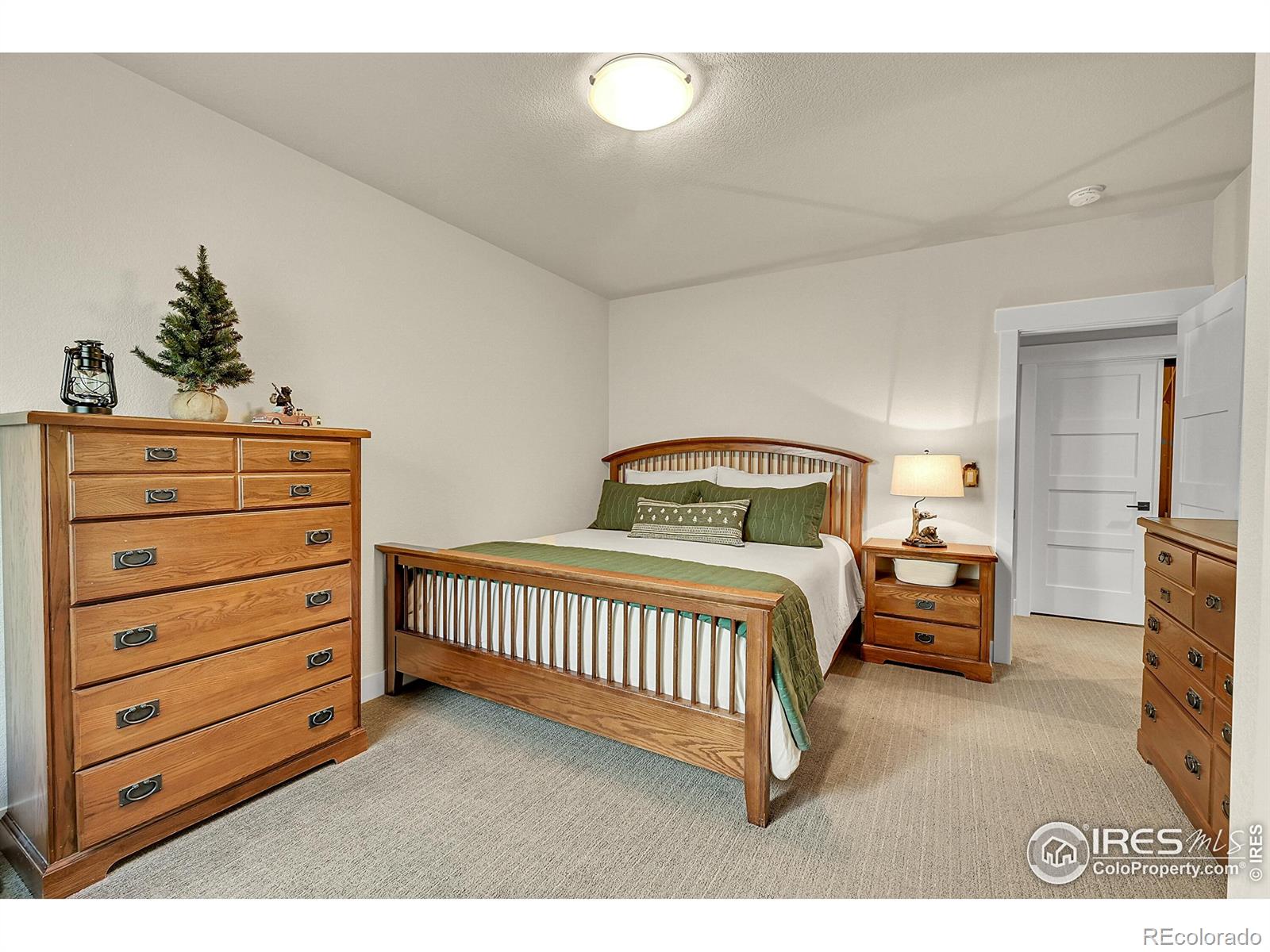 MLS Image #26 for 3336  elderberry lane,mead, Colorado