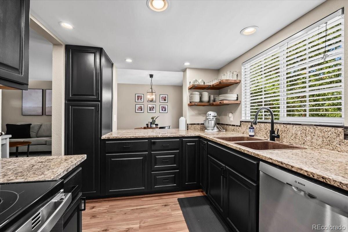 MLS Image #8 for 8695  bluebunch court,parker, Colorado