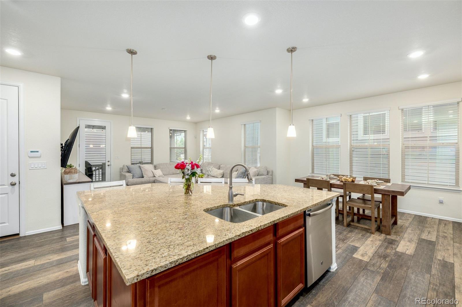 MLS Image #17 for 9723  bennett peak street,littleton, Colorado