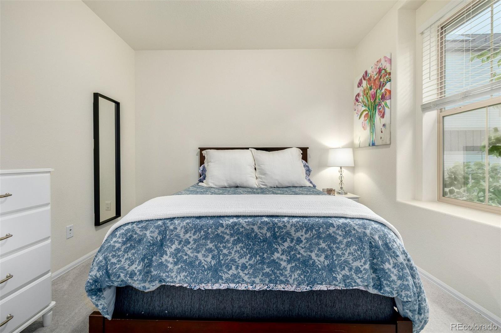 MLS Image #22 for 9723  bennett peak street,littleton, Colorado