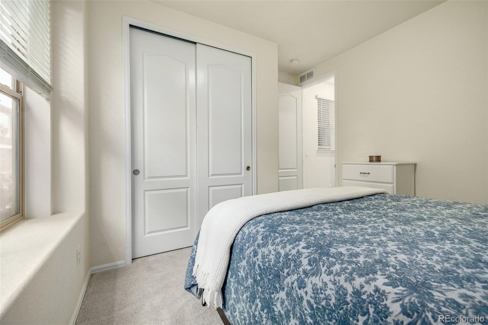 MLS Image #23 for 9723  bennett peak street,littleton, Colorado