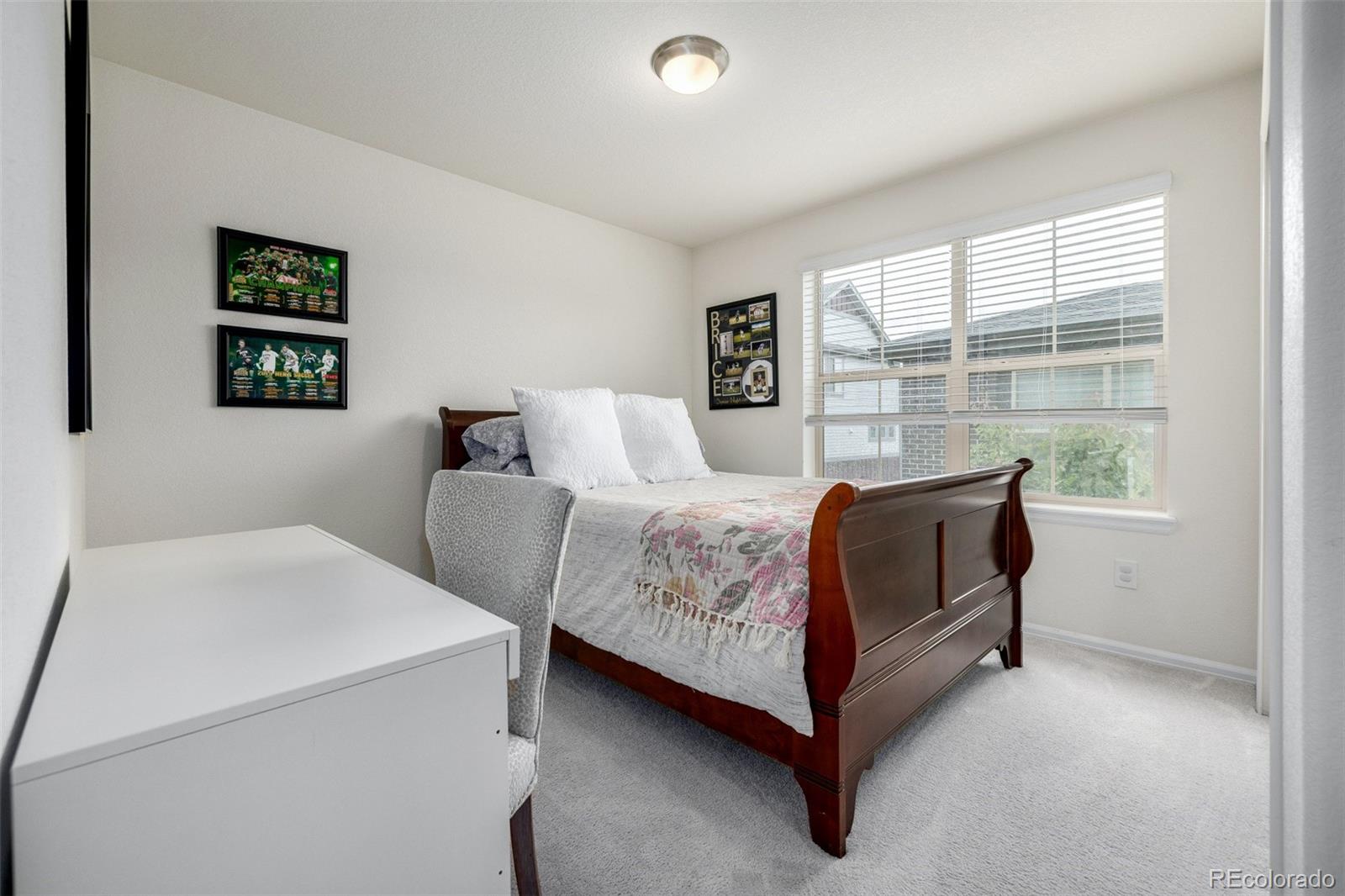 MLS Image #29 for 9723  bennett peak street,littleton, Colorado