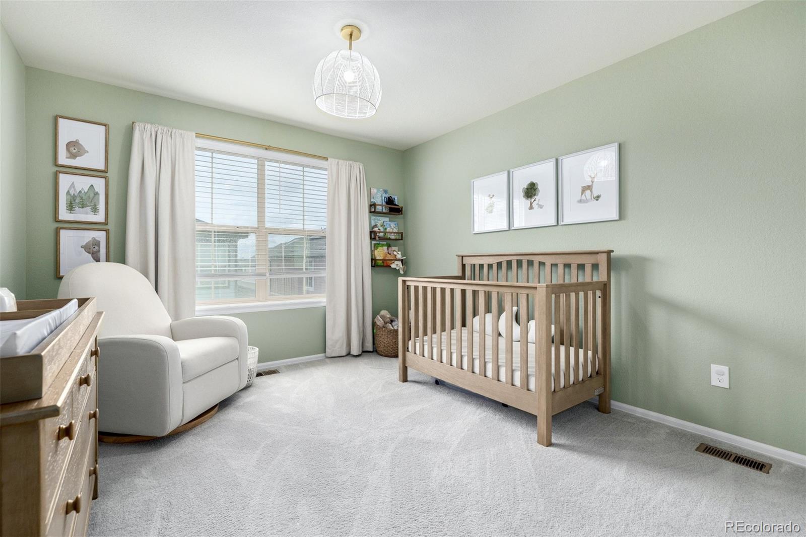 MLS Image #33 for 9723  bennett peak street,littleton, Colorado