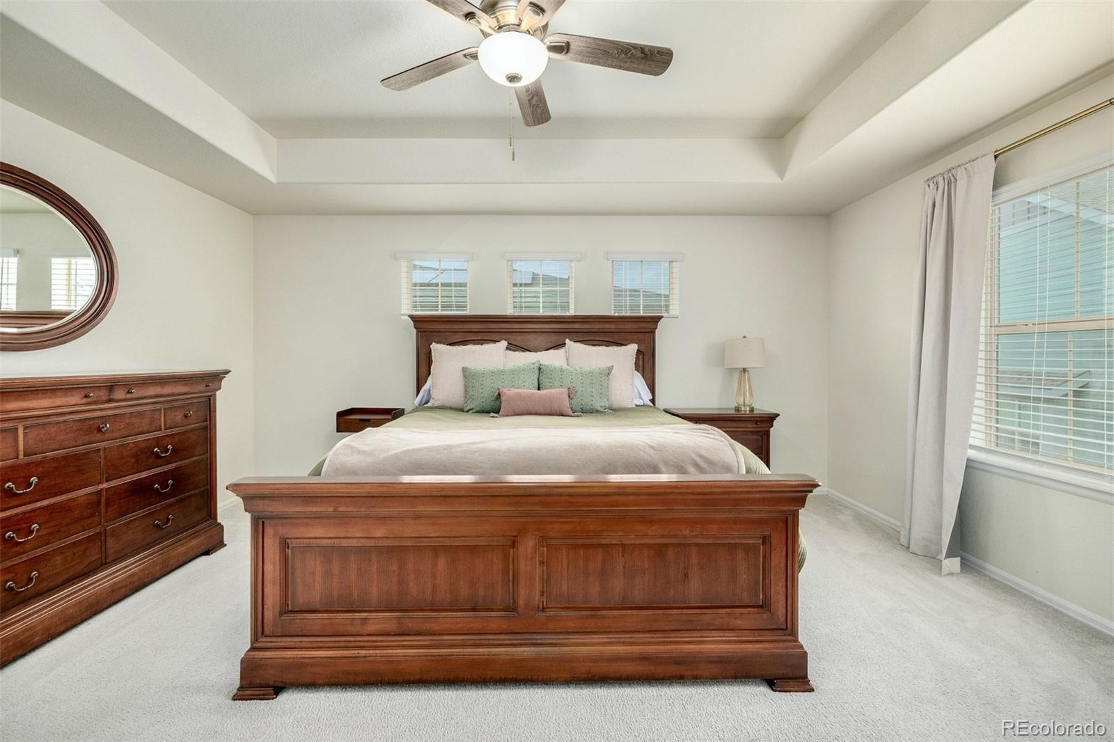 MLS Image #38 for 9723  bennett peak street,littleton, Colorado