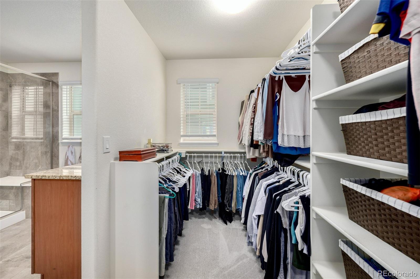 MLS Image #42 for 9723  bennett peak street,littleton, Colorado