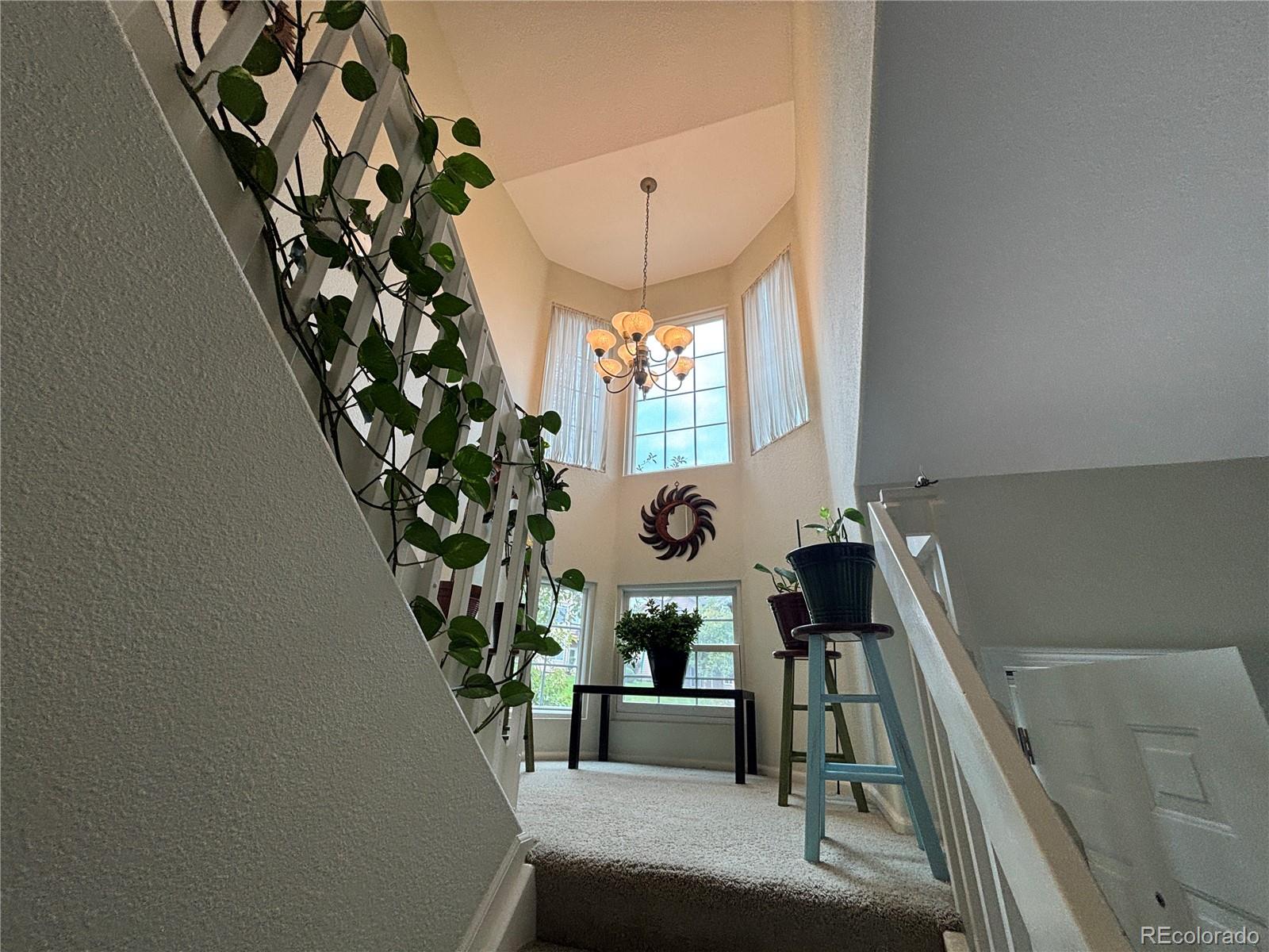 MLS Image #18 for 6809 s webster street,littleton, Colorado