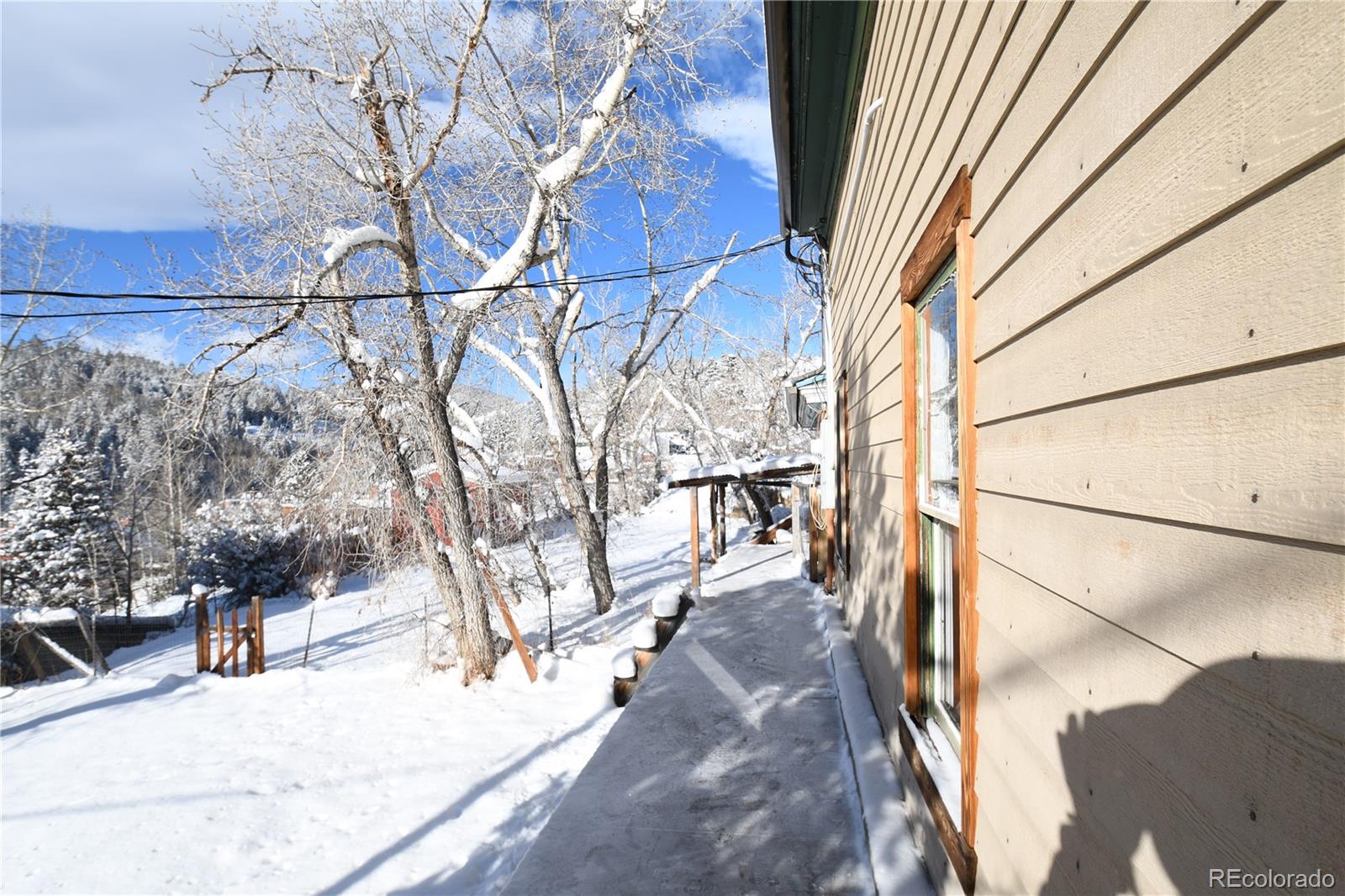 MLS Image #5 for 414  saint james street,central city, Colorado