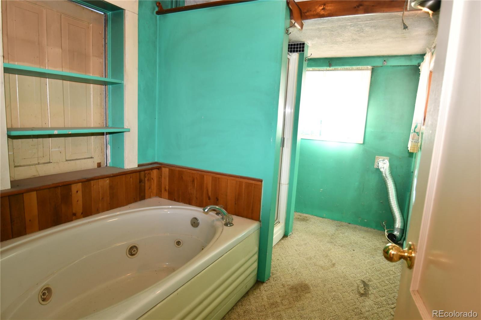 MLS Image #9 for 414  saint james street,central city, Colorado