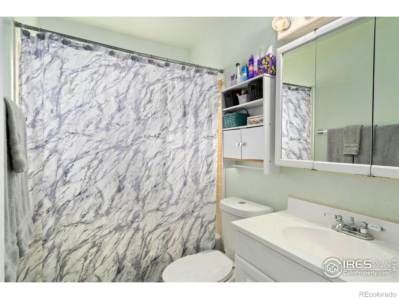 MLS Image #10 for 810  storm mountain court,windsor, Colorado
