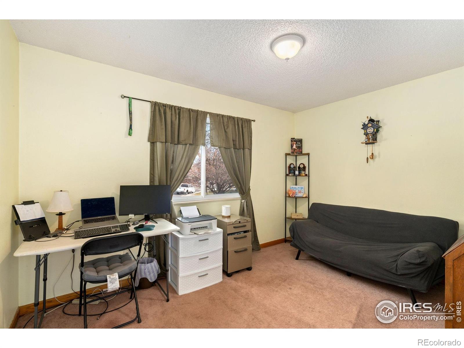 MLS Image #8 for 810  storm mountain court,windsor, Colorado