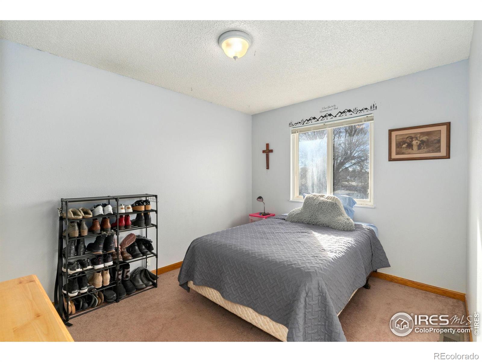 MLS Image #9 for 810  storm mountain court,windsor, Colorado
