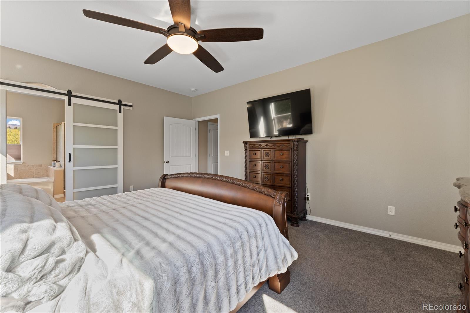 MLS Image #16 for 1314  ethereal circle,colorado springs, Colorado