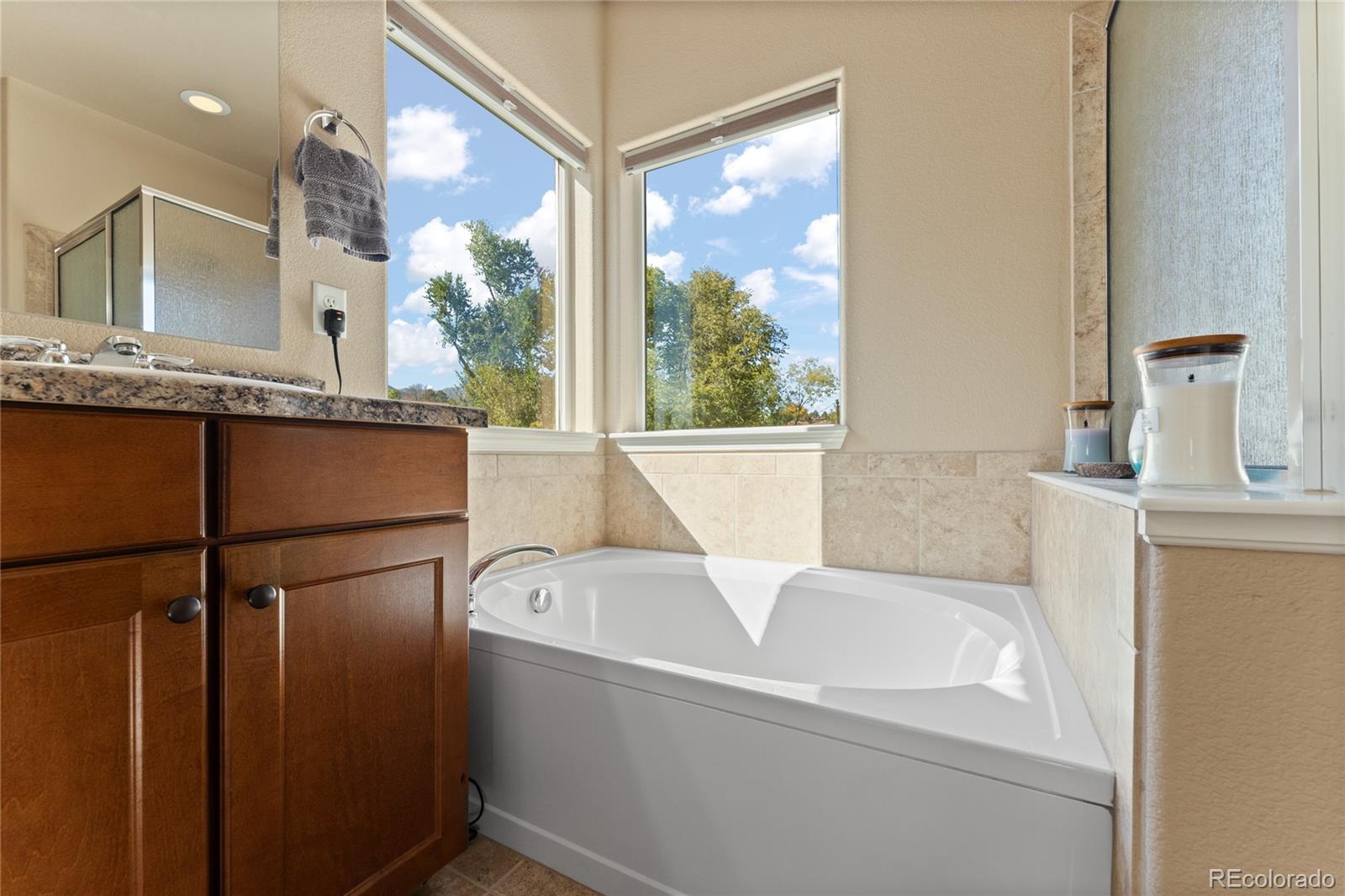 MLS Image #19 for 1314  ethereal circle,colorado springs, Colorado