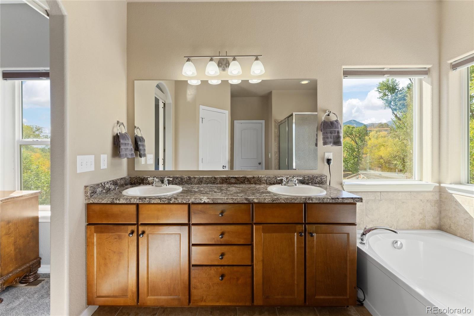 MLS Image #20 for 1314  ethereal circle,colorado springs, Colorado