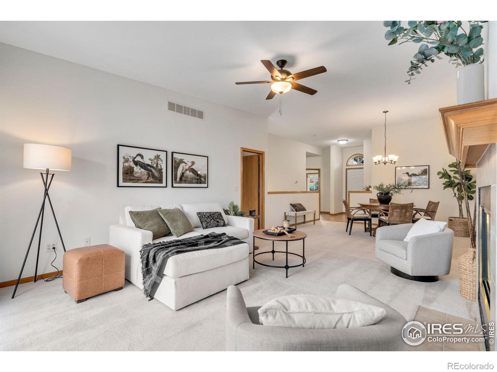 MLS Image #11 for 506  yuma court,fort collins, Colorado
