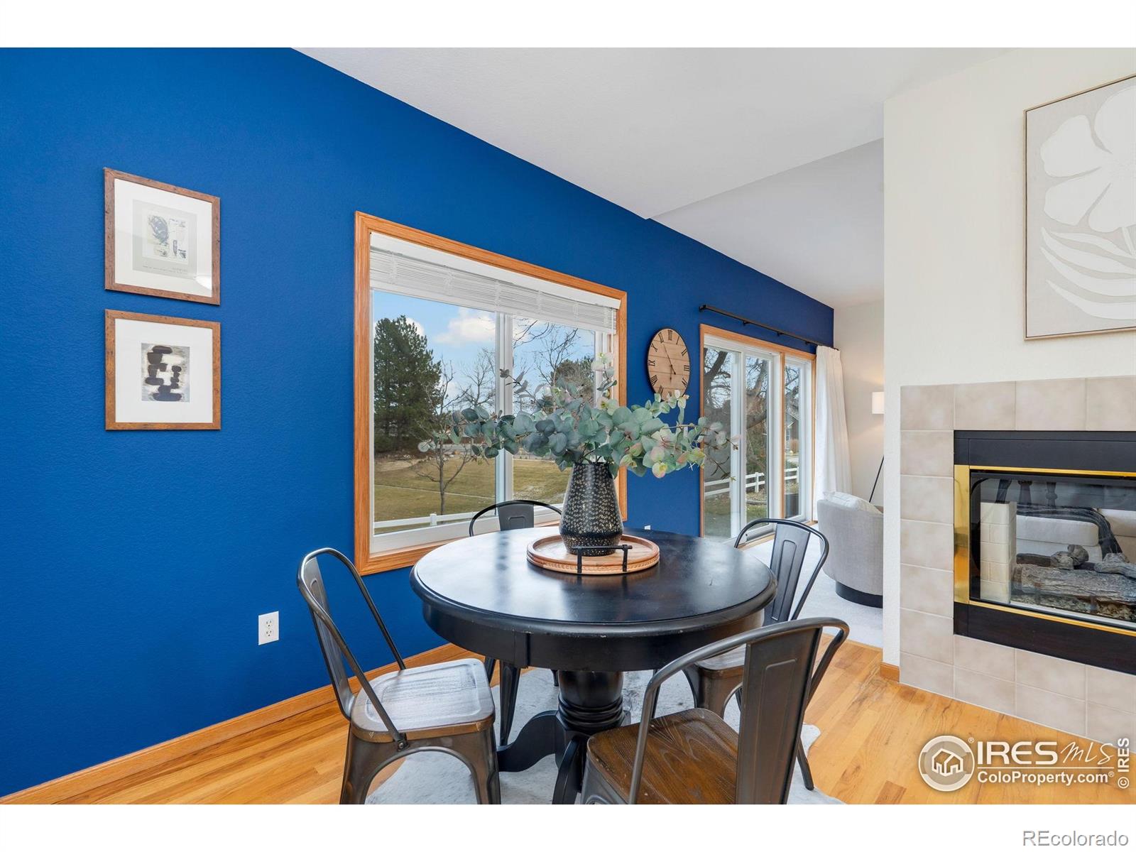 MLS Image #14 for 506  yuma court,fort collins, Colorado
