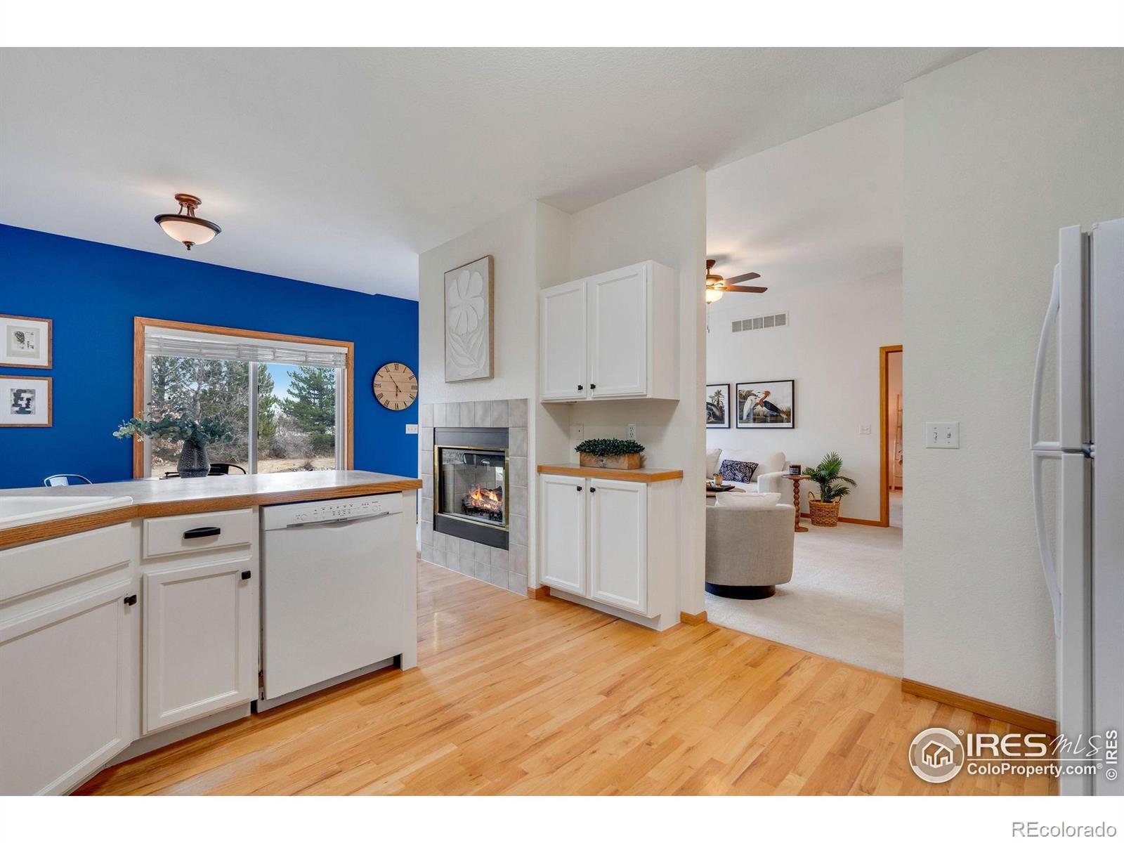 MLS Image #20 for 506  yuma court,fort collins, Colorado