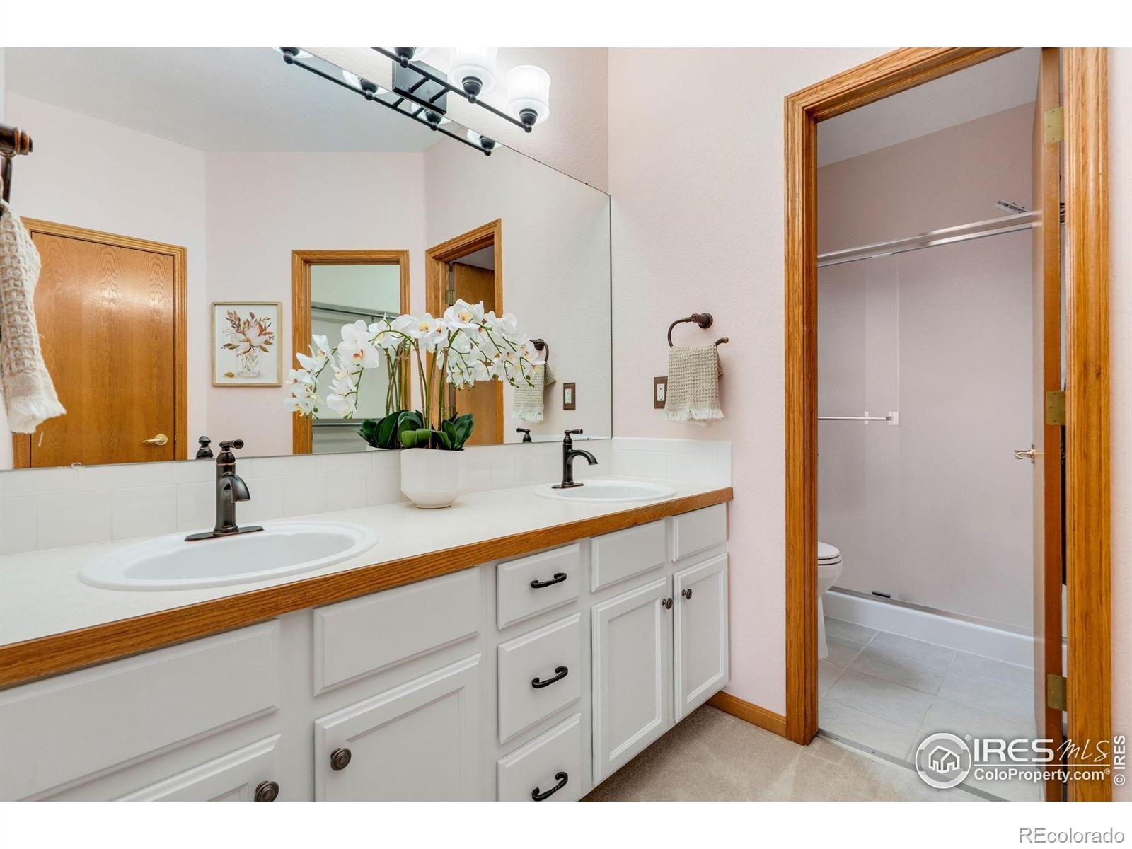 MLS Image #24 for 506  yuma court,fort collins, Colorado