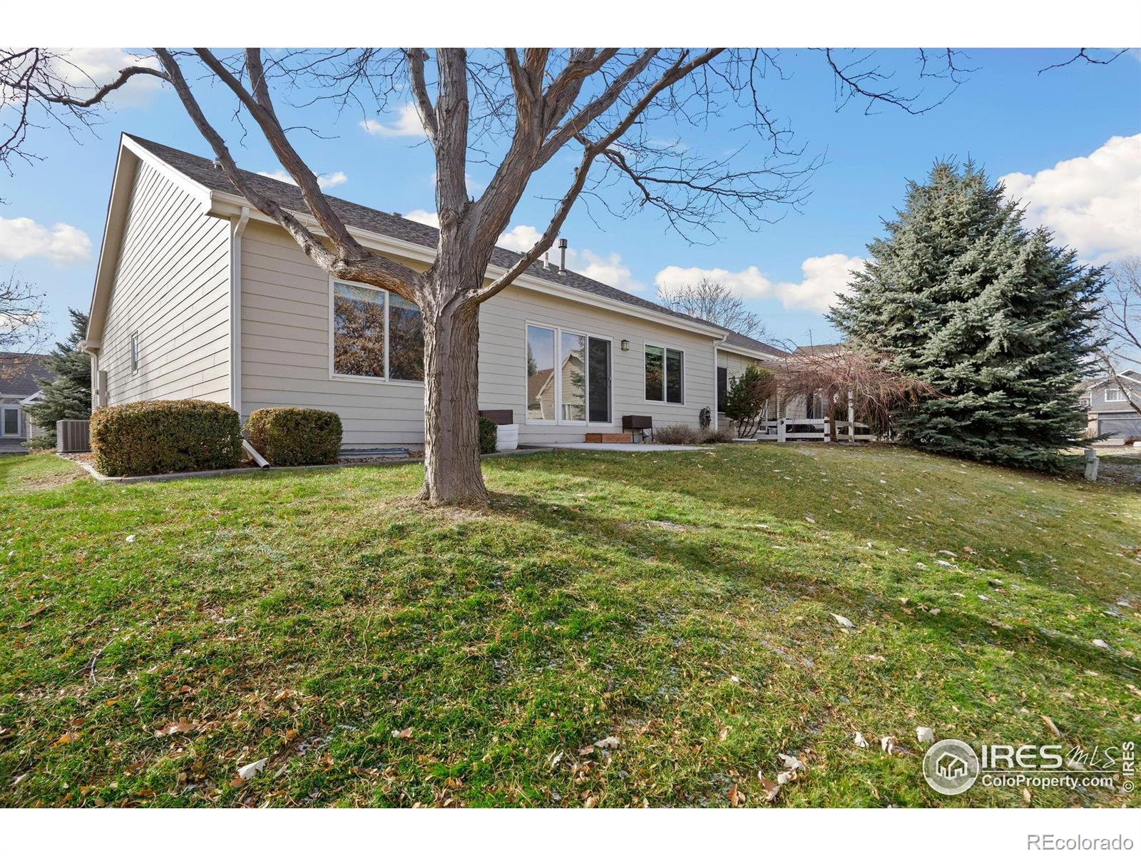 MLS Image #26 for 506  yuma court,fort collins, Colorado