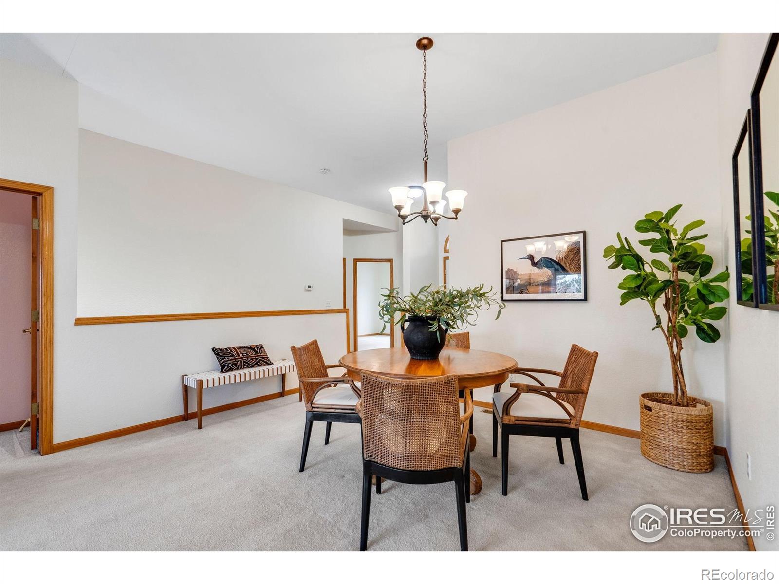 MLS Image #9 for 506  yuma court,fort collins, Colorado