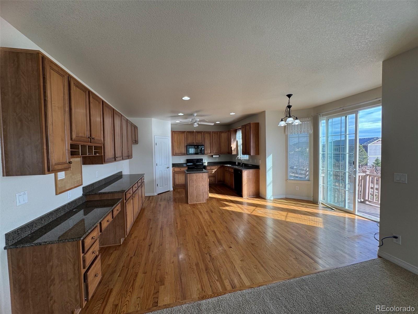 MLS Image #4 for 3218  arroyo verde way,castle rock, Colorado
