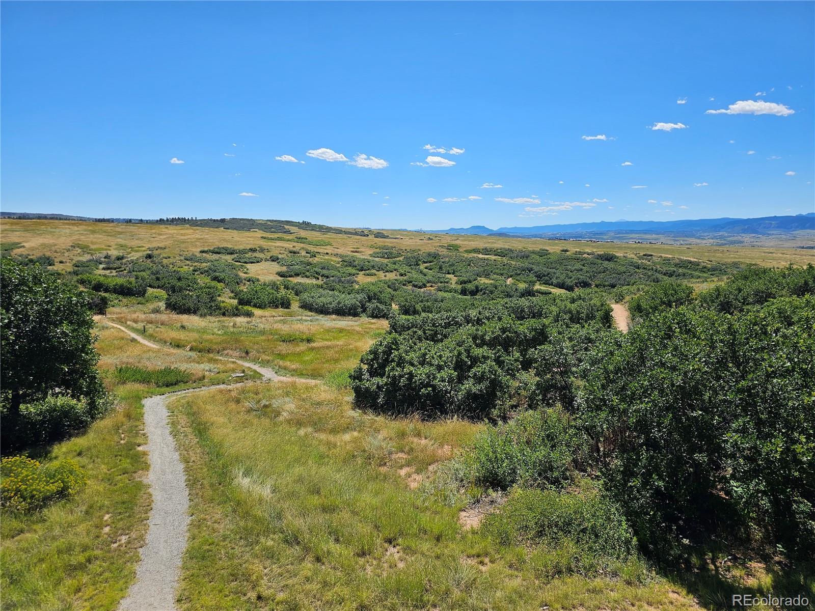 MLS Image #39 for 4  flowerburst way,highlands ranch, Colorado