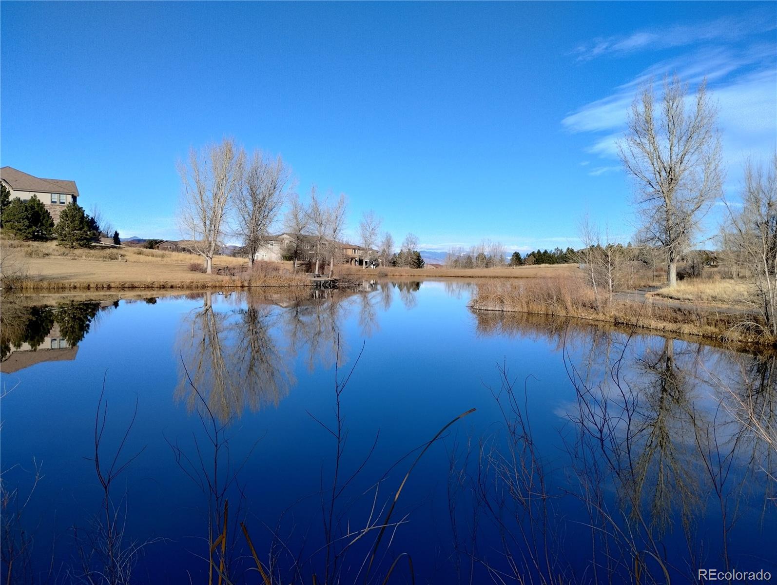 MLS Image #41 for 4  flowerburst way,highlands ranch, Colorado