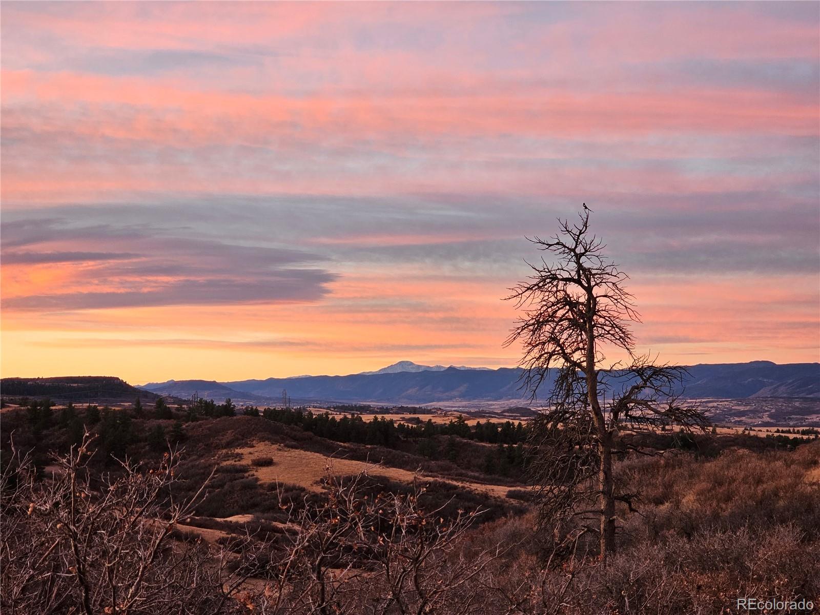 MLS Image #47 for 4  flowerburst way,highlands ranch, Colorado