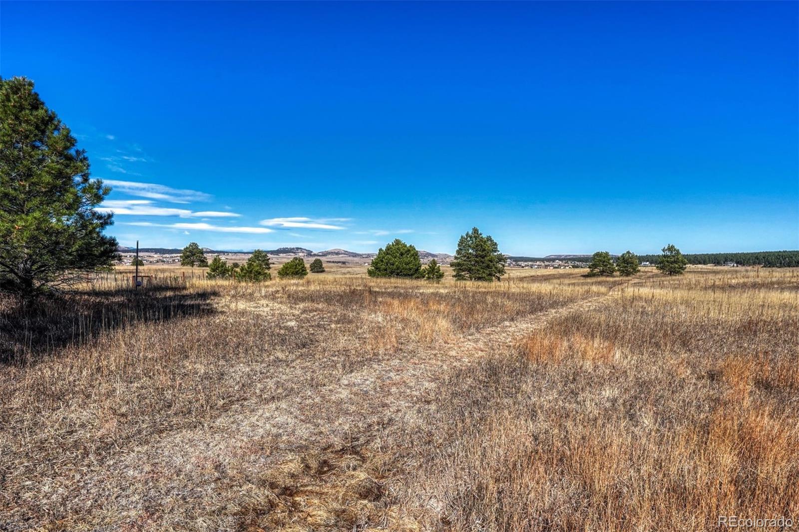 MLS Image #35 for 18560  woodhaven drive,colorado springs, Colorado