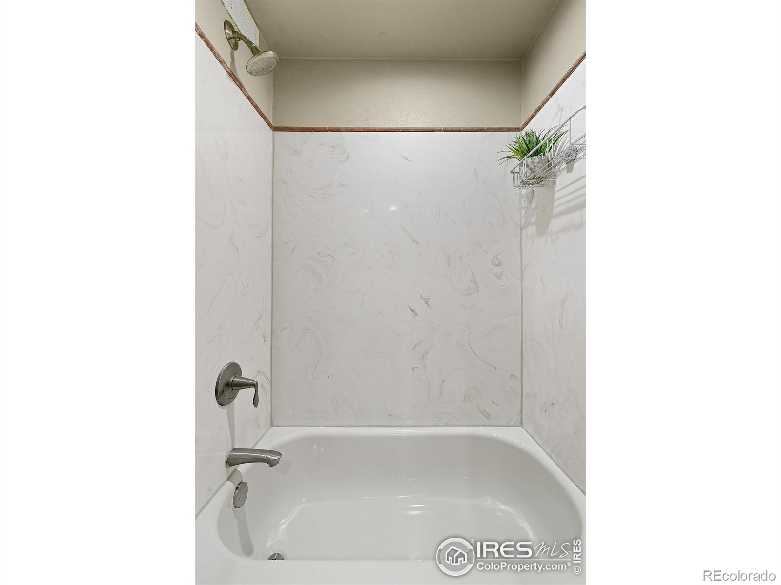 MLS Image #29 for 4165  winona court,denver, Colorado