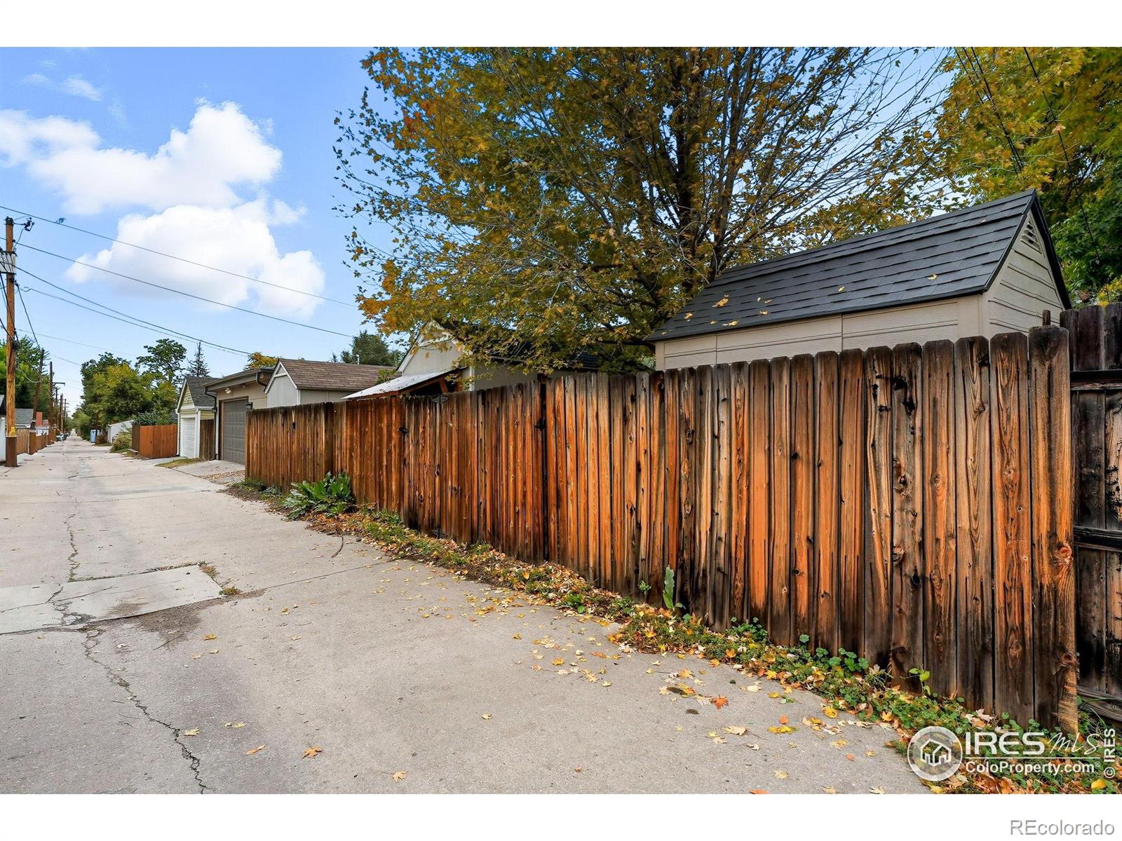 MLS Image #37 for 4165  winona court,denver, Colorado