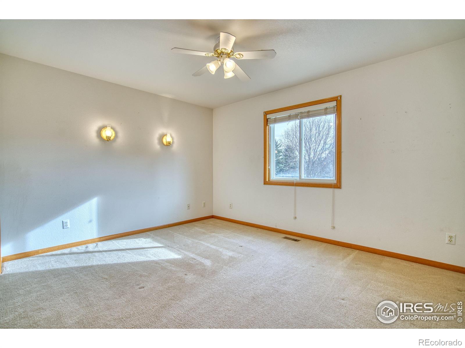 MLS Image #18 for 2563  red river court,loveland, Colorado