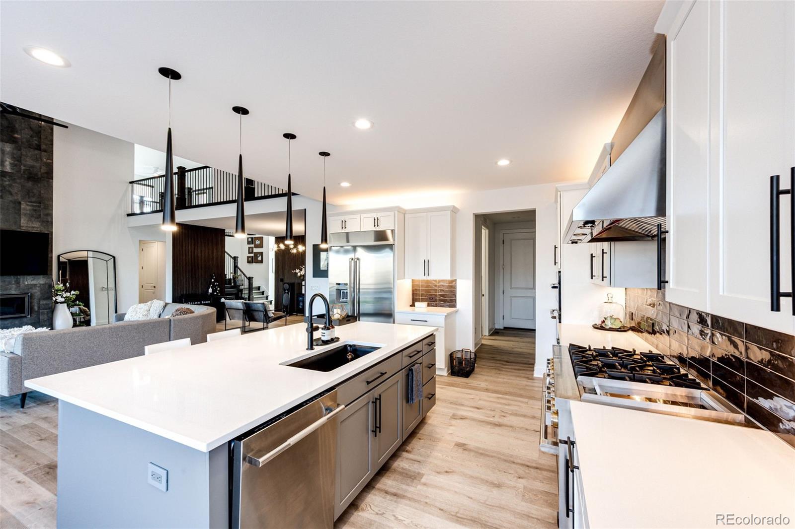 MLS Image #2 for 439  rogers way,castle rock, Colorado