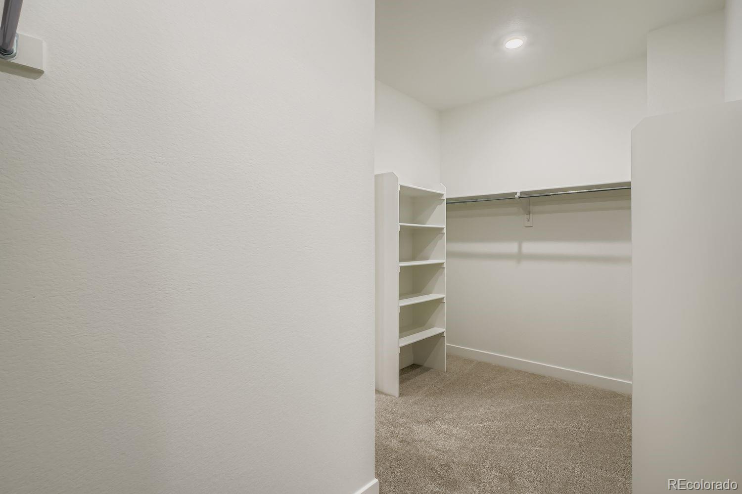 MLS Image #6 for 4000  buttongrass trail,castle rock, Colorado