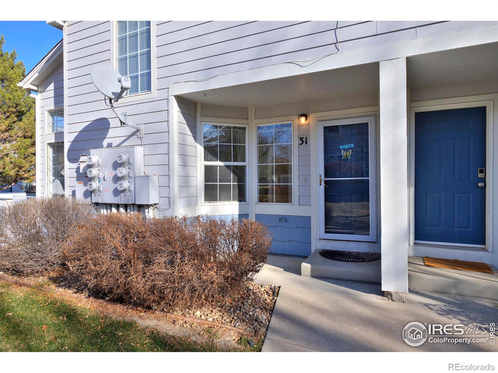 MLS Image #2 for 1419  red mountain drive,longmont, Colorado