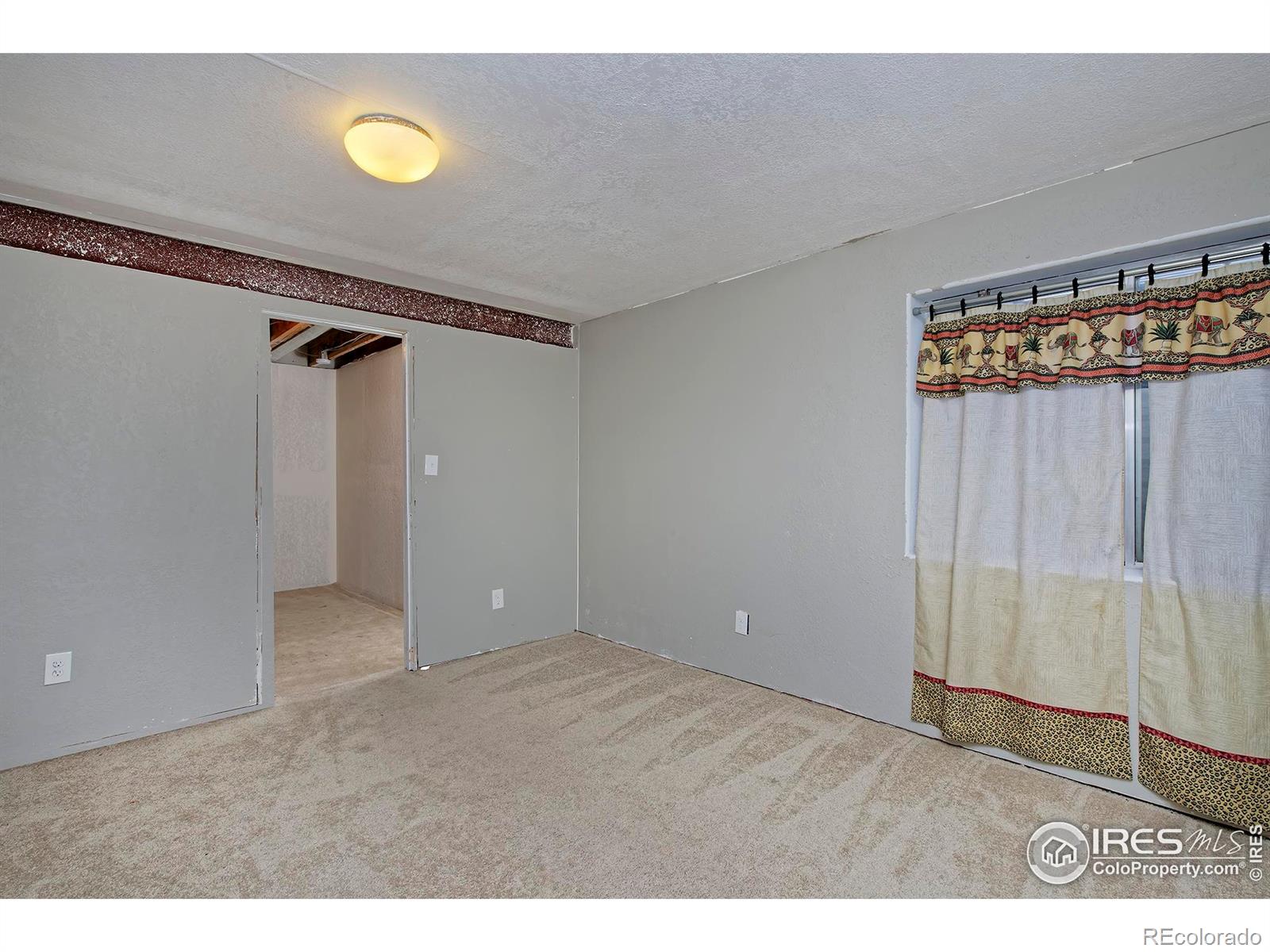MLS Image #22 for 1419  red mountain drive,longmont, Colorado
